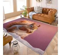 Short Pile Area Rugs Bedroom 120x170 cm Animals Hd Squirrel Pattern TPR Anti Slip Machine Washable Rugs Living Room, Pink Shaggy Soft Kids Carpets Easy To Clean for Entryway