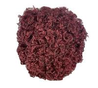 Short Pixie Curly Wig, 4 in and 10.16 cm Burgundy Afro Kinky Human Hair, 99J Reddish Brown, Wool Roll, Breathable, Simple to Style Wig