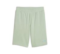 Short Puma Logo N° 1 Essentials 10" Vert M