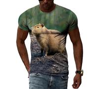 Short Sleeve Button Up Shirts for Men Capybara Graphic T Shirts Summer Casual 3D Men Animal Pattern Print Tees O-Neck Short Sleeve Tops,J,Asian Size L
