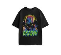 (Small) How to Train Your Dragon Short Sleeved T-Shirt (Unisex Black)