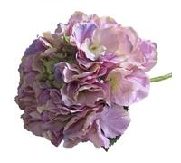 Short Stem Hydrangea Pink 2 Pack - Purple