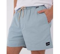 Shorts Mens - Icon Ewalkshort 17'