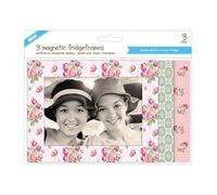Shot 2 Go Vintage Floral Fridge Photo Frames 4 x 6- 3 Pack