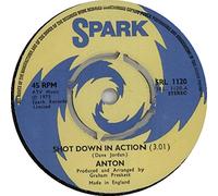 Shot Down In Action - 4 Prong
