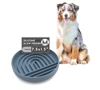 Should We Go? Slow Feeder for Dogs & Puppies, The Slowdown Bowl Silicone Slow Eating, Modern Lick Mat Design, Reduces Gulping, Fits 2 Cups, 7.5” Across x 1.5” Tall, Mealtime Challenge, Medium-Ocean
