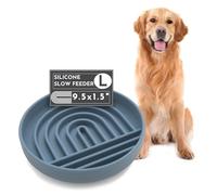 Should We Go? Slow Feeder for Dogs & Puppies, The Slowdown Bowl Silicone Slow Eating, Modern Lick Mat Design, Reduces Gulping, Fits 2.5 Cups, 9.5” Across x 1.5” Tall, Mealtime Challenge, Large-Ocean
