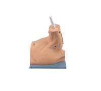 Shoulder Arthroscopy Operation Model For Medical Students, Doctors, And Nurses Practice