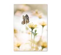 SHOUXI Art Poster Decor Unframed Sunflower Orchid Butterfly Yellow Dahlia Beige Posters No Frame Prints Wall Art Canvas Pictures Living Room Decor(A,40x60cm)