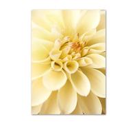SHOUXI Art Poster Decor Unframed Sunflower Orchid Butterfly Yellow Dahlia Beige Posters No Frame Prints Wall Art Canvas Pictures Living Room Decor(F,60X90cm)