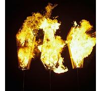 Show Me The Body - Trouble The Water [VINYL]