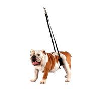 Show Tech Comfort Dog Belly Strap, Your Dog Grooming Expert, Strong Double-Stitched Nylon, Padded Straps for Comfort, Small