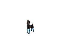 Show Tech Protector Boots Medium Size: Medium