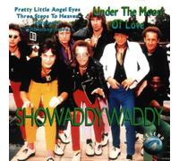 Showaddywaddy - Under the moon of love