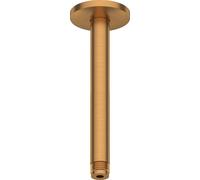 Shower Arm Duravit ceiling 200mm Brushed bronze UV0670025004