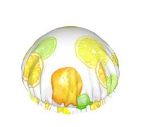 Shower Cap, Oranges Lemons Reusable Bath Shower Caps For Women Long Hair, Double Layer Waterproof Bathing Shower Hat Hair Protector For Kids Girls Women, 1 Pack