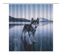 Shower Curtain Set with 12 Hooks - Husky Dog on A Frozen Lake Heavy Duty Curtains for Bathroom, 64.17x70.87Inch（163x180cm） Waterproof Fabric Farmhouse Bath Curtain, Machine Washable Bathroom Decor