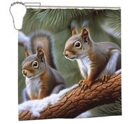 Shower Curtain Waterproof Fabric Shower Curtains for Bathroom Accessories Thick Cloth Little Squirrel Curtains Washable Farmhouse Bathroom Curtain Set with 12 Metal Plastic Hooks 183x183 cm