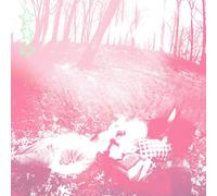 Shower Curtain - Words From A Wishing Well [VINYL]