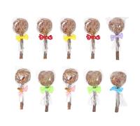 SHOWERORO 10pcs Small Pet Chewing Sticks for Hamsters and Rabbits Made from Timothy Grass and Branch Material, Designed to Massage Gums and Discomfort, Chew for Small Pets Random Color