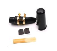 SHOWERORO 1set Alto Saxophone Accessories with Mouthpiece Cushions Patches and Pads for Beginners Performance Includes Buckle and Storage Cover