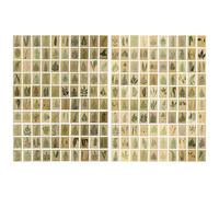 SHOWERORO 2 Packs Vintage Collage Paper Memo Cards, Mini Message Stickers for Scrapbook Journaling, Creative Retro Handbook Sticker Set for Crafting and DIY Art Projects