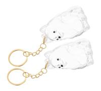 SHOWERORO 2Pcs Dog Hair Keepsake Boxes with Happy Pomeranian Pattern, Pet Memorial Storage Capsules Keychains for Puppy Fur Collection and Keepsake