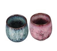SHOWERORO Chinese Cup Tea Sets Porcelain Tea Cups Decorative Design for Daily Use