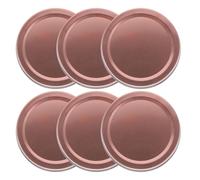 SHOWERORO Tinplate 6Pcs Reusable Canning Jar Lids Leakproof Covers for Storing Preserves and Spices