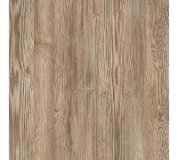 Showerwall Weathered Pine 2440x900 (879) Proclick Hydrocore SW105 Wall Paneling Size: 2440x900mm (879 Visible) Proclick