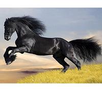 Showker DIY 5D Diamond Painting War Horse Kits for Adults, Diamond Art Kits Animal Paint by Numbers Rhinestone Crystal Embroidery Cross Stitch for Home Wall Decoration 30x40cm