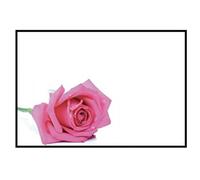 ShredAstic Florist Message Cards Gran Nan Grandma Nana Nanny Large 12.5 x 9cm Funeral Memorial - Clear Cello self Seal Bag (6. Blank Pink Rose, 1 Single Cards/Cello Bag)
