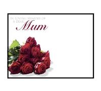 ShredAstic Florist Message cards Mum, Mother, Mama, Mom, Mam large 12.5 x 9cm Funeral Memorial - Clear cello self seal bag (3. In Loving Memory of a Dear Mum, 6 cards / 6 cello bags)