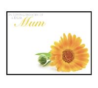 ShredAstic Florist Message cards Mum, Mother, Mama, Mom, Mam large 12.5 x 9cm Funeral Memorial - Clear cello self seal bag (2. In Loving Memory of a Dear Mum, 1 single card / 1 cello bag)