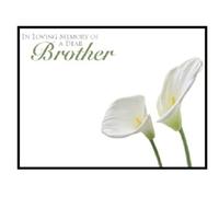 ShredAstic Funeral cards Dad, Father, Brother, Uncle, Son, Husband, Grandad, Cousin large 12.5 x 9cm Memorial - cello bag (7. In Loving Memory of a Dear Brother, 5 cards / 5 cello bags)