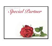 ShredAstic Funeral cards Daughter Sister Wife Friend Partner Blank large 12.5 x 9cm Memorial - cello bag (9. In Loving Memory of a Special Partner, 3 Cards / 3 Cello Bags)