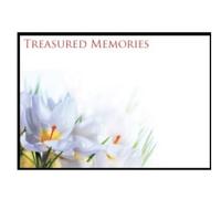 ShredAstic Funeral cards Sheep Ladybird In Loving Memory Sadly Missed Blank large 12.5 x 9cm Memorial - cello bag (7. Treasured Memories, 1 Single Card / 1 Cello bag)