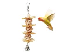 Shredding Toys for Birds Colorful-Shredding-Metal-Hook-Various-Birds