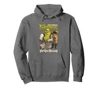 Shrek Get Ogre Yourself Donkey Shrek Puss In Boots 90's Logo Pullover Hoodie, Adult Unisex, Asphalt Grey, XX-Large