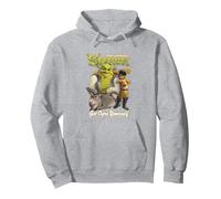Shrek Get Ogre Yourself Donkey Shrek Puss In Boots 90's Logo Pullover Hoodie, Adult Unisex, Heather Grey, X-Large