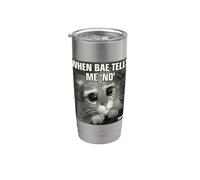 Shrek Puss in Boots Meme Stainless Steel Insulated Tumbler