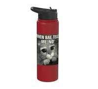 Shrek Puss in Boots When Bae Says No Stainless Steel Insulated Water Bottle