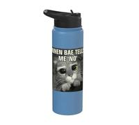 Shrek Puss in Boots When Bae Says No Stainless Steel Insulated Water Bottle