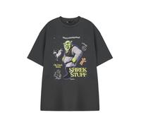 Shrek Unisex Grey Shrek Stuff Short Sleeved T-Shirt - Medium