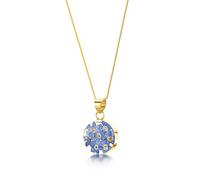 Shrieking Violet 18ct Gold-Plated Round Real Flower Pendant Necklace - Forget-Me-Not (Blue)