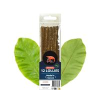 Shrimp Food - 100% Natural, Handcrafted Shrimp Lollies Aquarium - Slow-Dissolving Shrimp Food Aquarium with Vitamins & Proteins - Shrimp Lolly Sticks by Gioiashrimp - Catappa, 12 Pcs