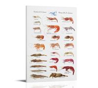 Shrimp from The St. Lawrence River Living Room Wall Art 08 x 12 Inch (20 x 30 cm)
