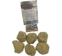 Shropshire Crystals Break Your Own Geodes - Perfect for Science Discovery & Learning (6-8cm)