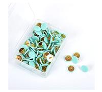 SHTGOI Pack of 100 Drawing Pins, Round Thumbtacks, Decorative Pins, Marking Pins, Thumbtacks, with Plastic Heads and Steel Tips, Round Pins, for Photos, Cork, Pin Board, Mint Green
