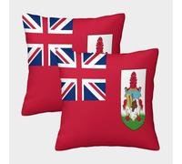 SHUAIOIN 3D Printed Bermuda Square Pillowcases Dinosaurs Square Throw Pillow Decorative Super Soft Pack of 2 for Patio,Couch, Tent, Balcony And Sofa 50x50cm